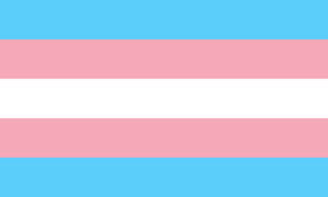 Bandera Orgullo Transexual