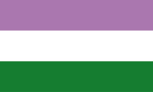 Bandera GenderQueer